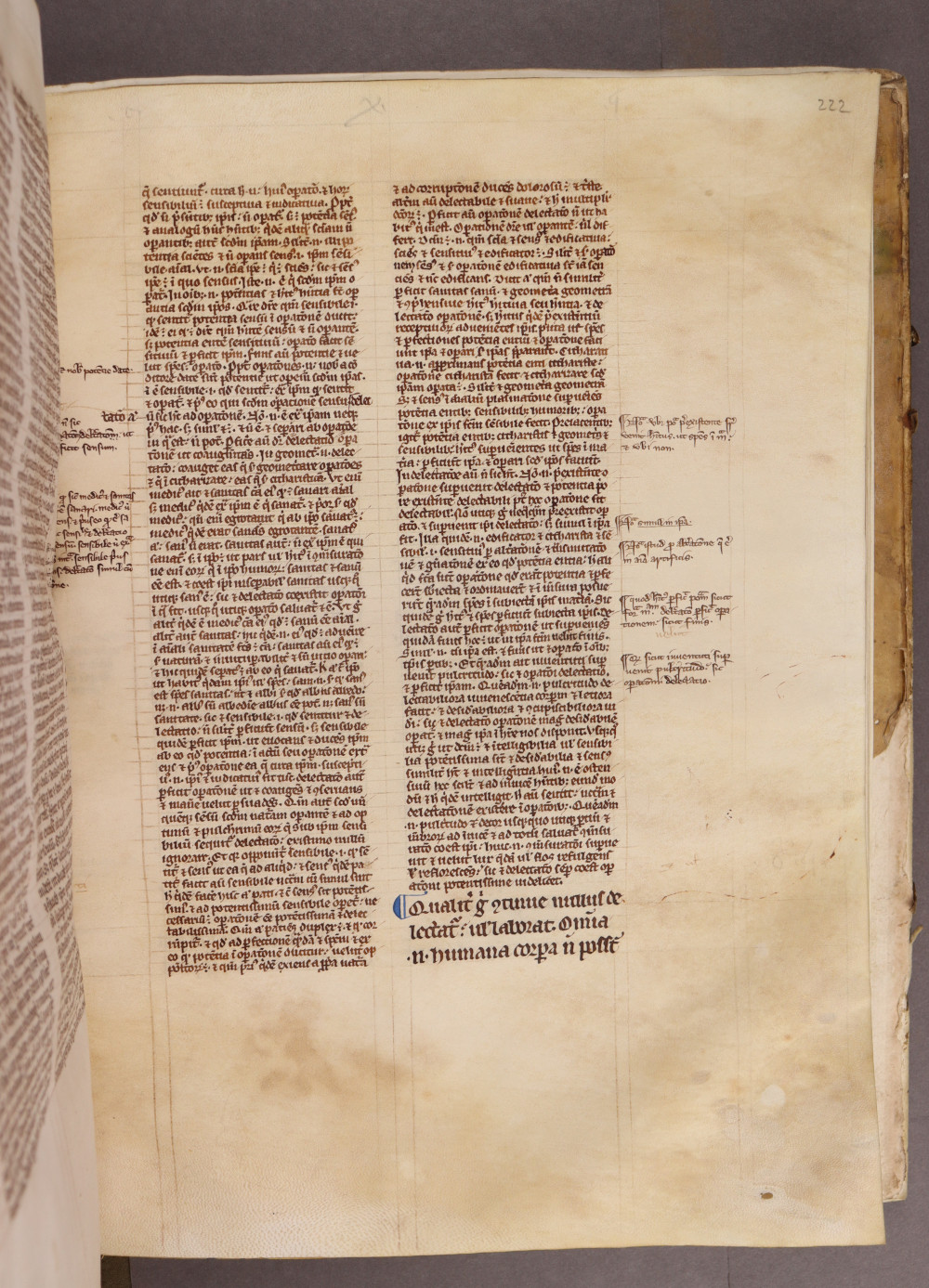 Folio 222 recto